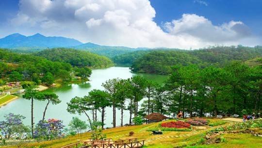 tach thua da lat lam dong